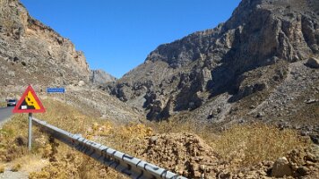 IMG_20190918_115441758