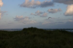 Renesse 2006 015